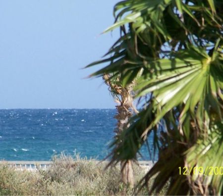 location saisonniere Pyrénées-Orientales Ste Marie la Mer - 66470 - Photos Vivastreet super villa 6 pers bord de mer