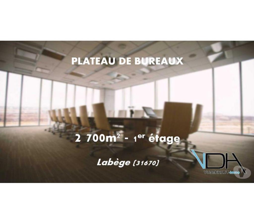 bureaux locaux Haute-Garonne Labege - 31670 - Photos Vivastreet (X-07931) Bureaux Vide 2700 m²