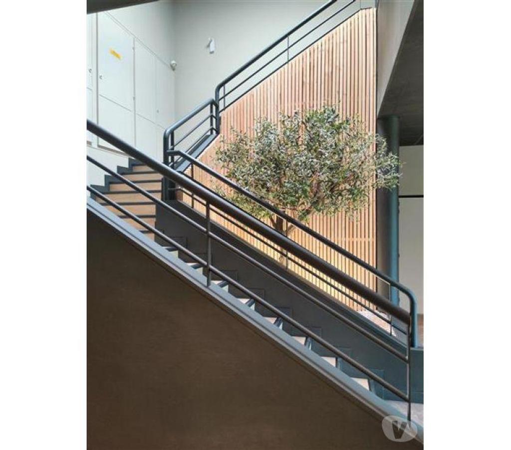 bureaux locaux Haute-Garonne Toulouse - Photos Vivastreet (X-18255) Bureaux Vide 97 m²