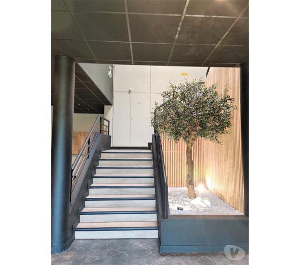 bureaux locaux Haute-Garonne Toulouse - Photos Vivastreet (X-18255) Bureaux Vide 97 m²