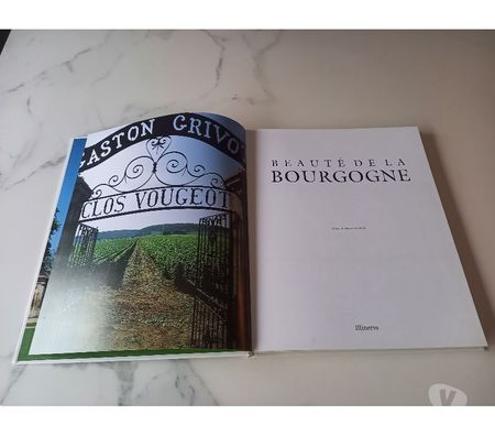 Livres occasion Seine-et-Marne St Pierre les Nemours - 77140 - Photos Vivastreet Livre sur la Bourgogne