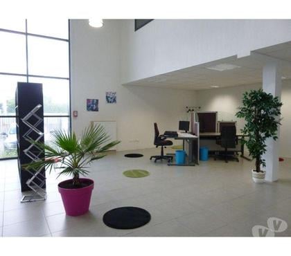 Achat, location bureau Toulouse Toulouse - Photos Vivastreet (X-18509) Bureaux Vide 32 m²