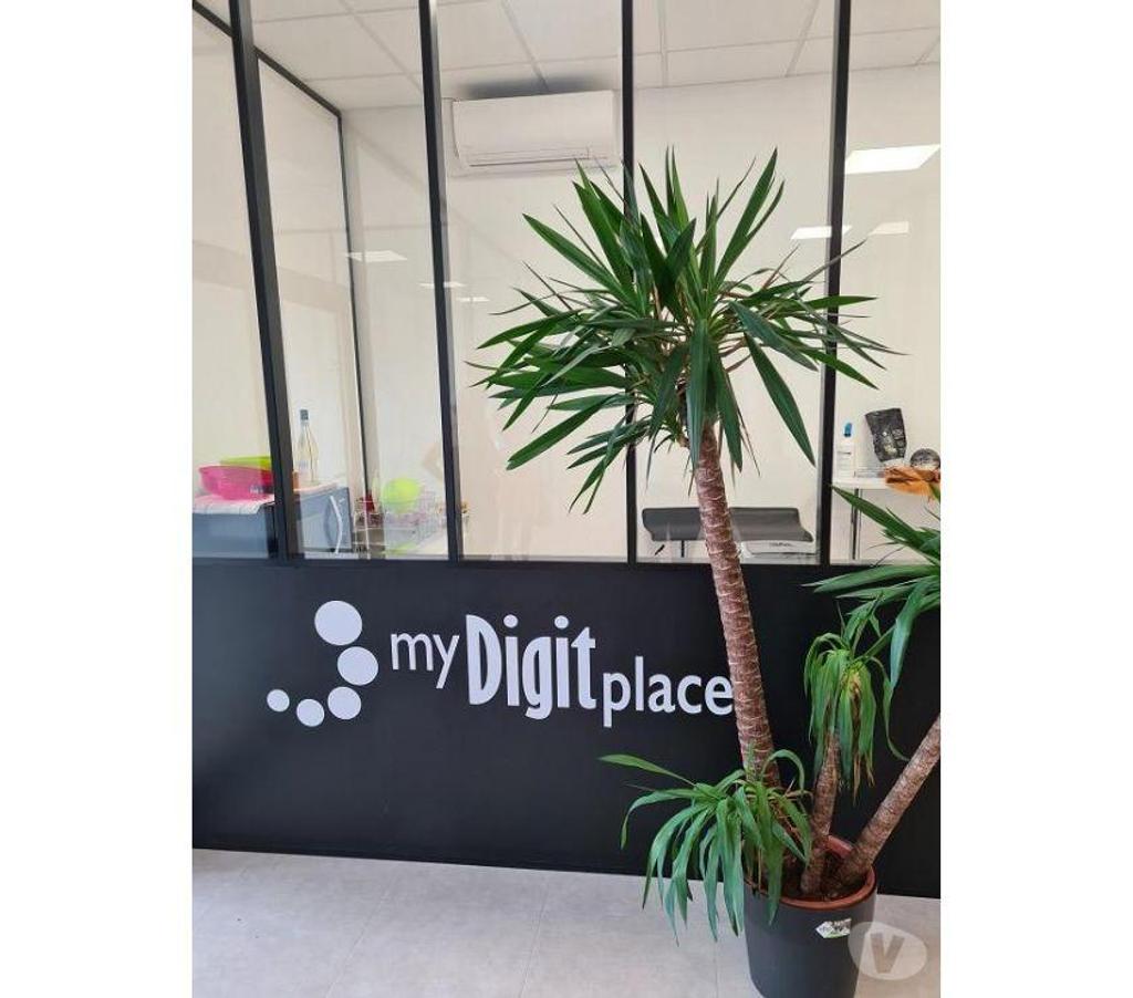 bureaux locaux Haute-Garonne Colomiers - 31770 - Photos Vivastreet (X-18600) Bureaux Vide 157 m²