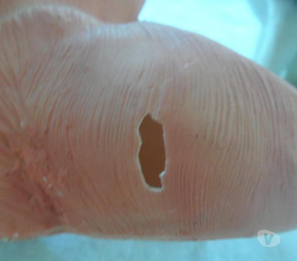 Décoration - art Hérault Castries - 34160 - Photos Vivastreet 3 petits chats en céramique 