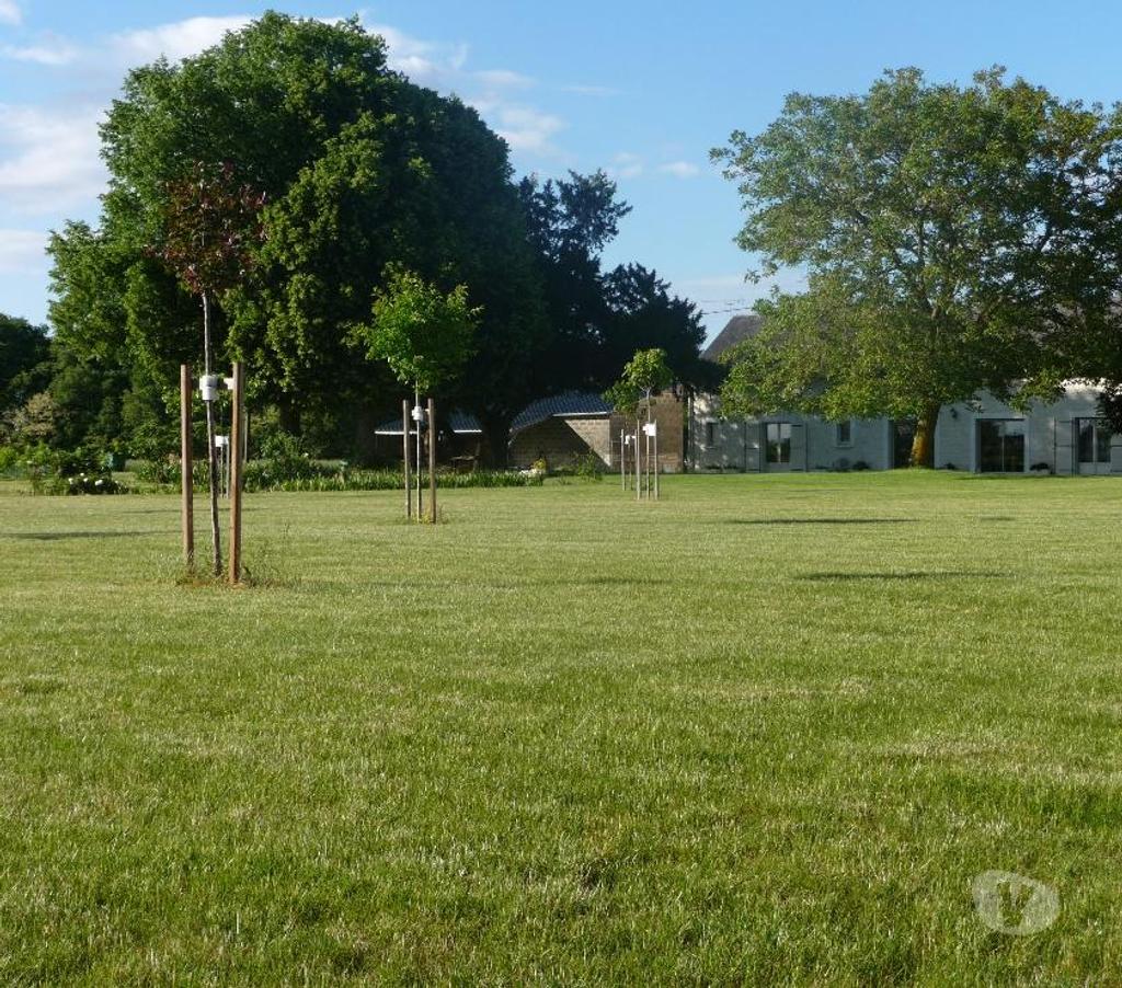 Aides à domicile Vienne Serigny - 86230 - Photos Vivastreet Accueillant familial agréé personne âgée