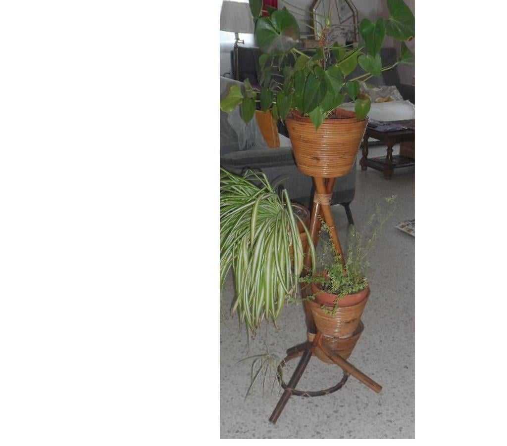 Décoration - art Hérault Castries - 34160 - Photos Vivastreet Porte pots de fleurs ou plantes en bambou naturel AN 5060 