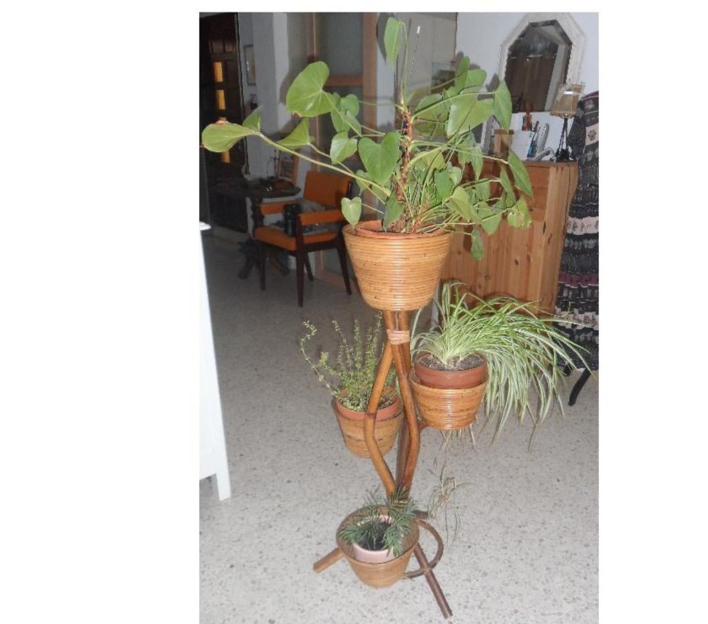 Décoration - art Hérault Castries - 34160 - Photos Vivastreet Porte pots de fleurs ou plantes en bambou naturel AN 5060 