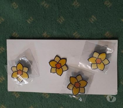 Collection Arques Pas-de-Calais - Photos Vivastreet Pin'S - Institut Curie