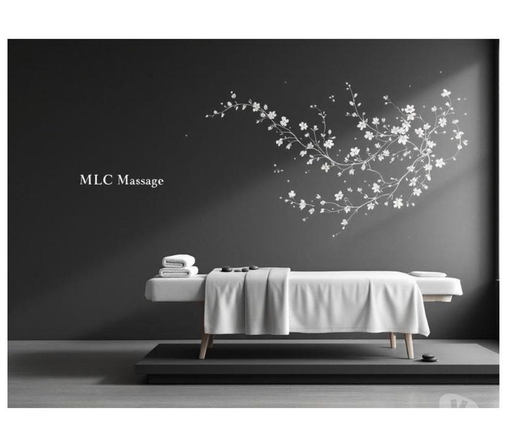 Massages Alpes-Maritimes Cannes - 06400 - Photos Vivastreet MLC MASSAGES CANNES
