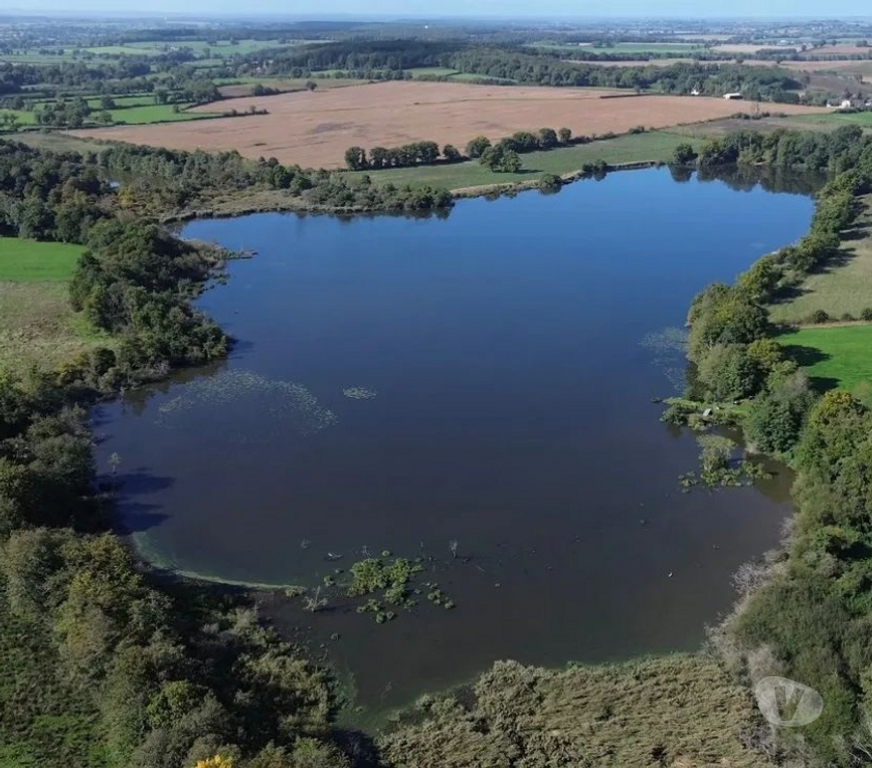 Vente Maison Cher St Amand Montrond - 18200 - Photos Vivastreet PROPRIETE , ETANG ,LAC,PISCICULTURE , PECHE , CHASSE