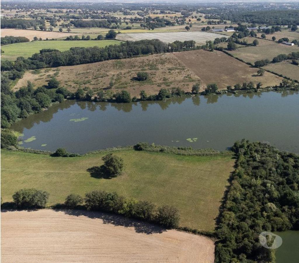 Vente Maison Cher St Amand Montrond - 18200 - Photos Vivastreet PROPRIETE , ETANG ,LAC,PISCICULTURE , PECHE , CHASSE