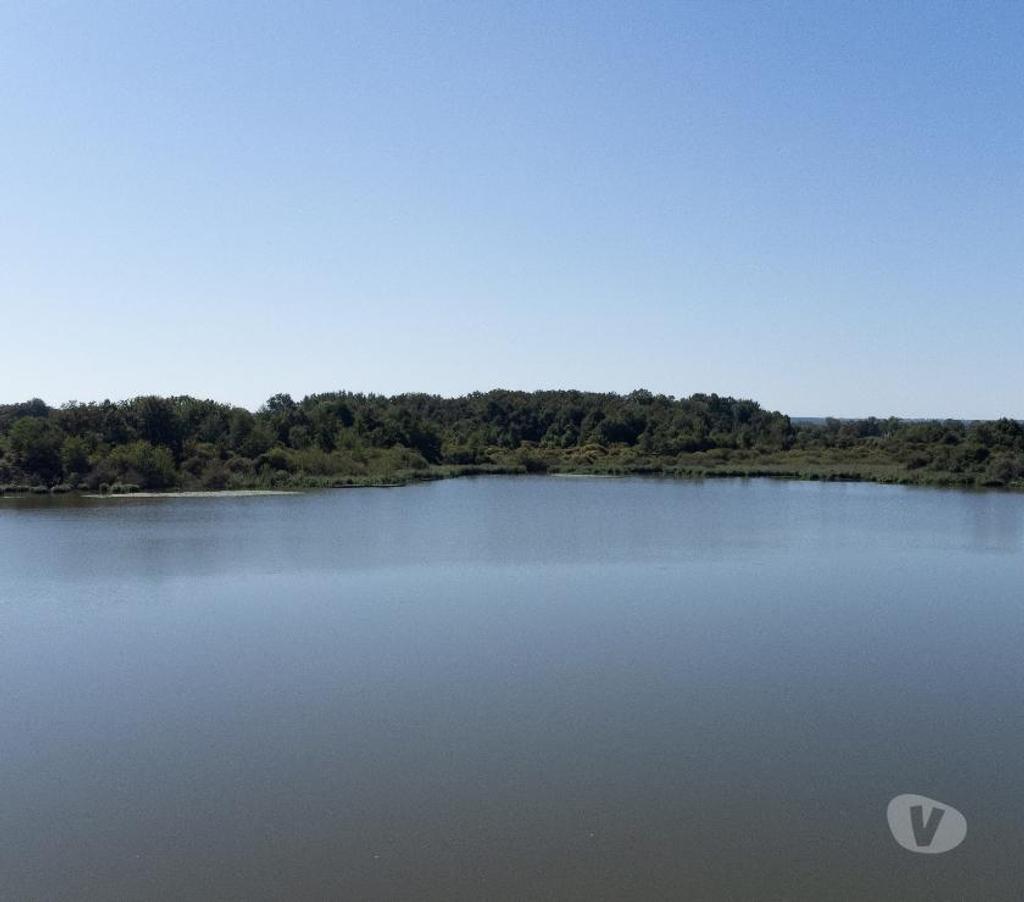 Vente Maison Cher St Amand Montrond - 18200 - Photos Vivastreet PROPRIETE , ETANG ,LAC,PISCICULTURE , PECHE , CHASSE