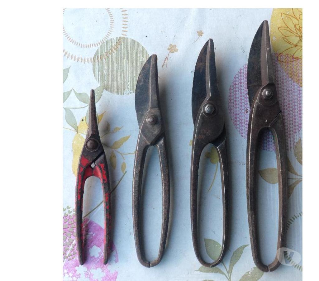  Hérault Castries - 34160 - Photos Vivastreet Cisailles Outils anciens graissés mais dans leurs jus 