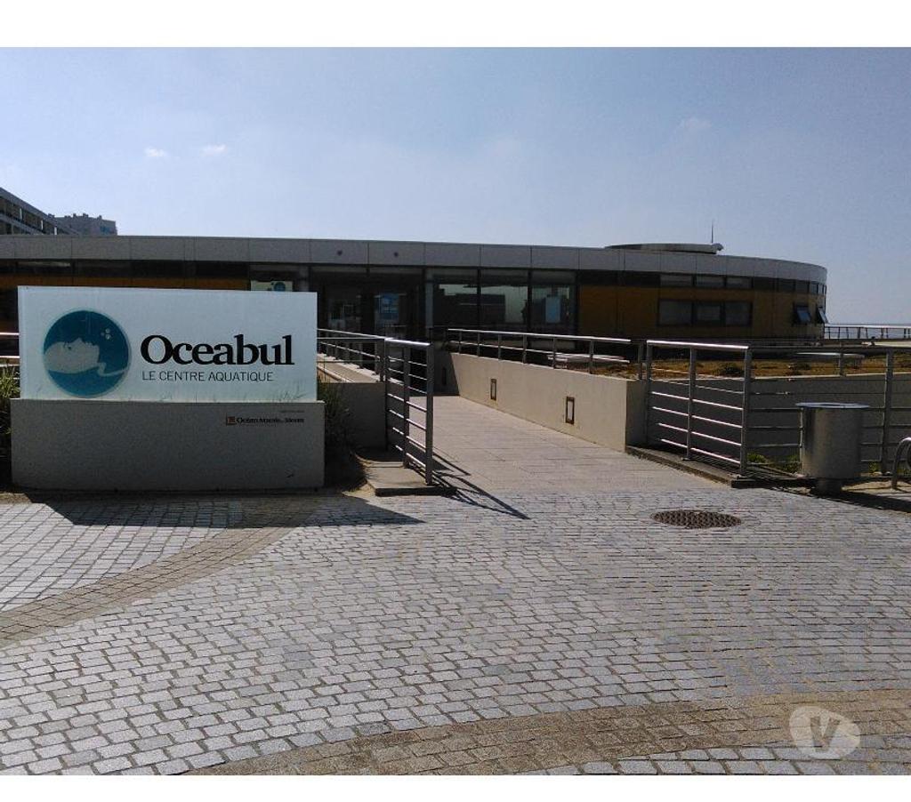 location saisonniere Vendée St Hilaire de Riez - Photos Vivastreet appart a st hilaire de riez , 50 m plage.