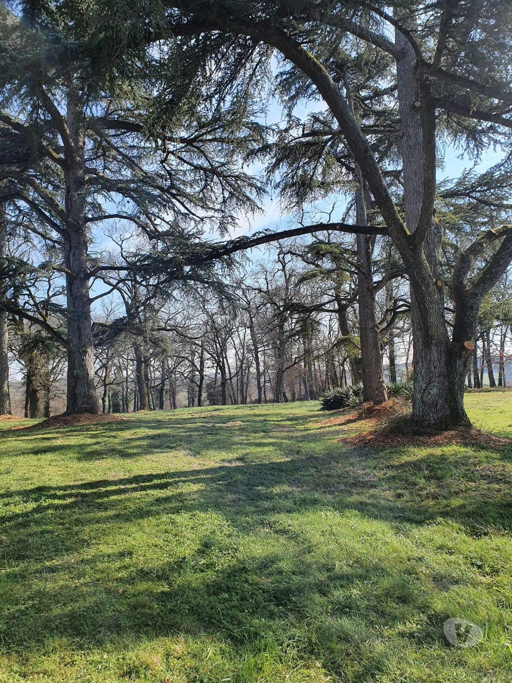 Vente Maison Gers Auch - 32000 - Photos Vivastreet Domaine avec un énorme potentiel sur 34 Hectares
