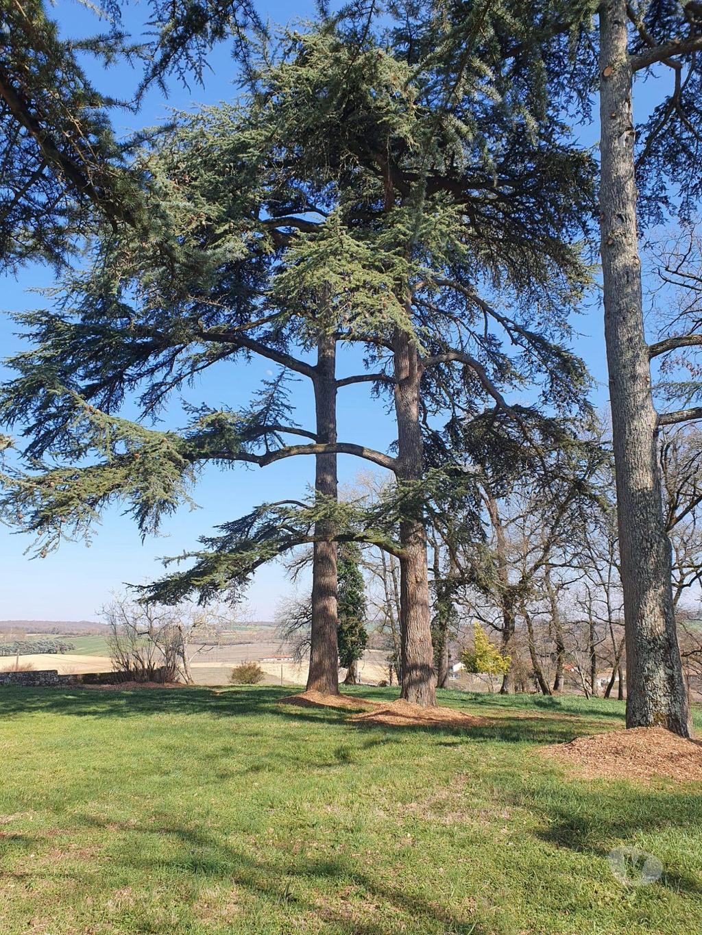 Vente Maison Gers Auch - 32000 - Photos Vivastreet Domaine avec un énorme potentiel sur 34 Hectares