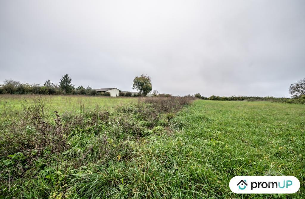 Terrain à vendre Nièvre Ourouer - 58130 - Photos Vivastreet (V4876) Beau terrain constructible 2154 m²