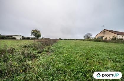 Vente Terrain Ourouer Nièvre - Photos Vivastreet (V4876) Beau terrain constructible 2154 m²