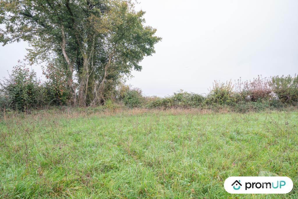 Terrain à vendre Nièvre Ourouer - 58130 - Photos Vivastreet (V4872) Beau terrain constructible 2114 m²