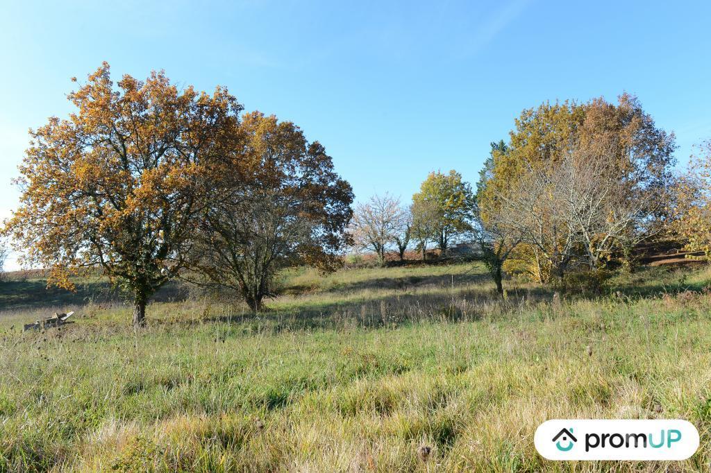 Terrain à vendre Dordogne Mouleydier - 24520 - Photos Vivastreet (VT1123) Terrain constructible avec possibilité d'extension à...