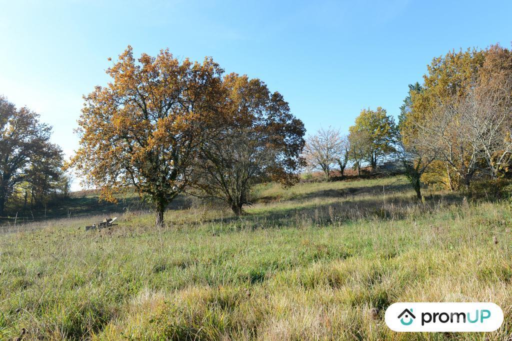 Terrain à vendre Dordogne Mouleydier - 24520 - Photos Vivastreet (VT1123) Terrain constructible avec possibilité d'extension à...