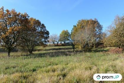 Vente Terrain Mouleydier Dordogne - Photos Vivastreet (VT1123) Terrain constructible avec possibilité d'extension à...