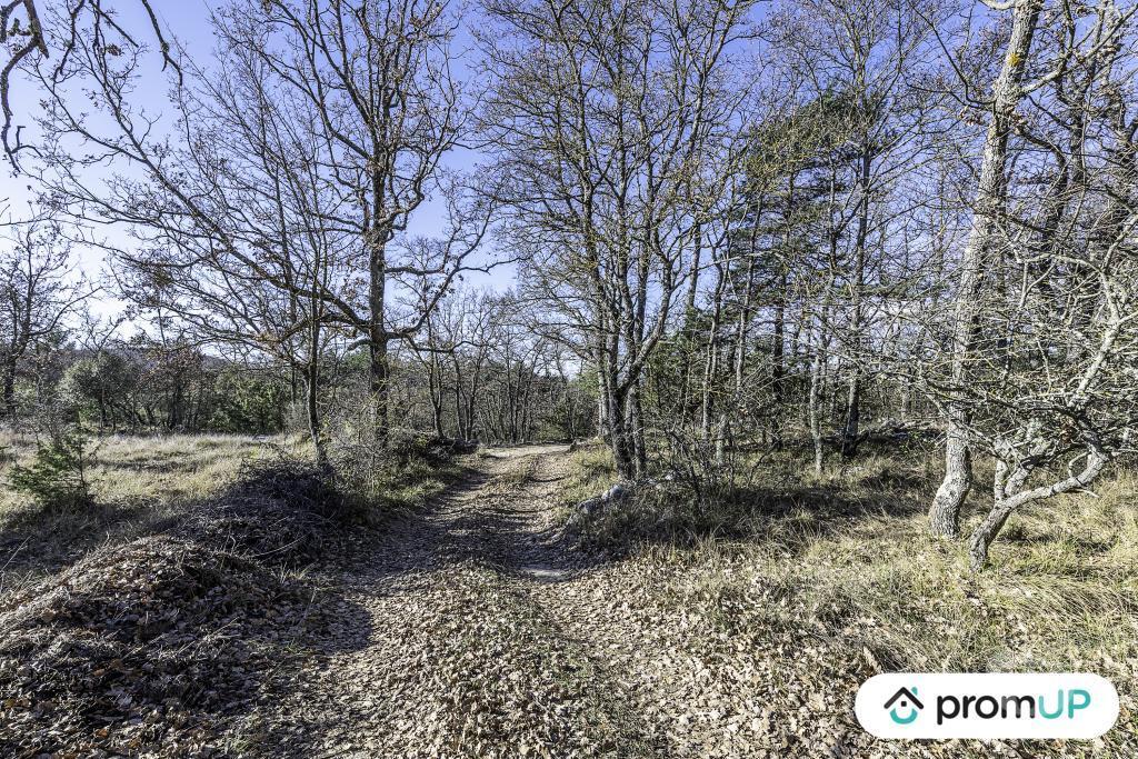 Terrain à vendre Alpes-Maritimes St Vallier de Thiey - 06460 - Photos Vivastreet (V5134) Grand terrain 2,825 ha avec borie