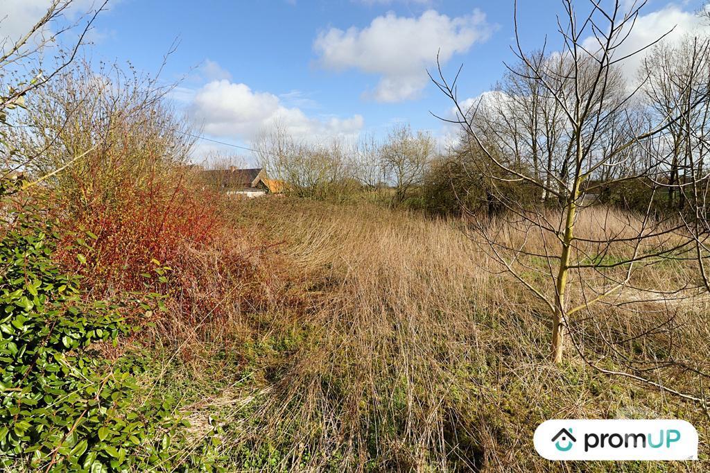 Terrain à vendre Somme Beauval - 80630 - Photos Vivastreet (VT380) Terrain constructible 1 397 m²