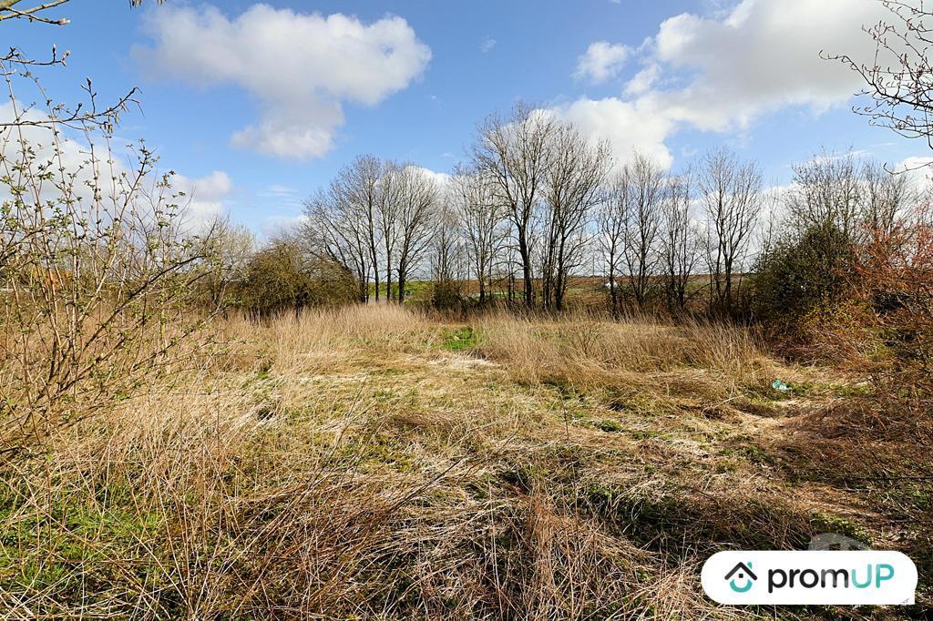 Terrain à vendre Somme Beauval - 80630 - Photos Vivastreet (VT380) Terrain constructible 1 397 m²