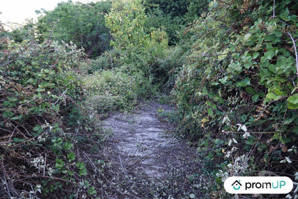 Terrain à vendre Alpes-Maritimes Ste Agnes - 06500 - Photos Vivastreet (V6166) Terrain non constructible de 1195 m2