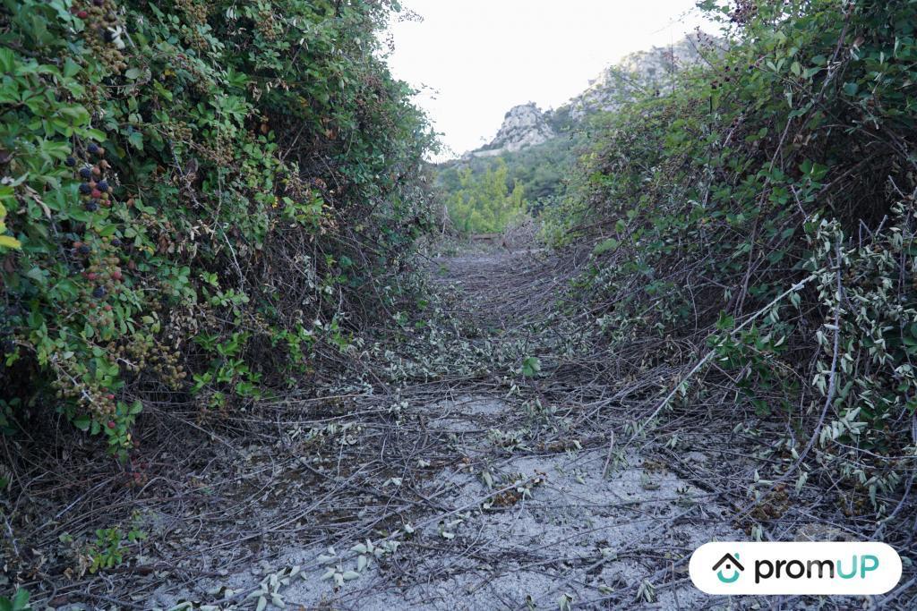 Terrain à vendre Alpes-Maritimes Ste Agnes - 06500 - Photos Vivastreet (V6166) Terrain non constructible de 1195 m2