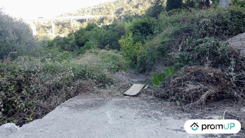Terrain à vendre Alpes-Maritimes Ste Agnes - 06500 - Photos Vivastreet (V6166) Terrain non constructible de 1195 m2