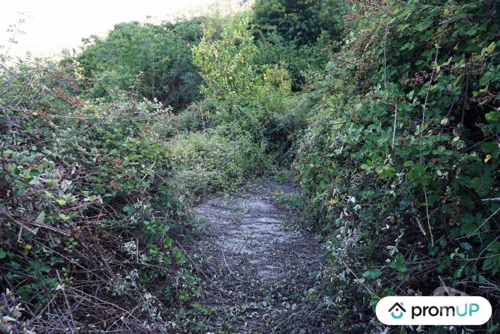 Terrain à vendre Alpes-Maritimes Ste Agnes - 06500 - Photos Vivastreet (V6166) Terrain non constructible de 1195 m2