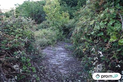 Vente Terrain Ste Agnes Alpes-Maritimes - Photos Vivastreet (V6166) Terrain non constructible de 1195 m2