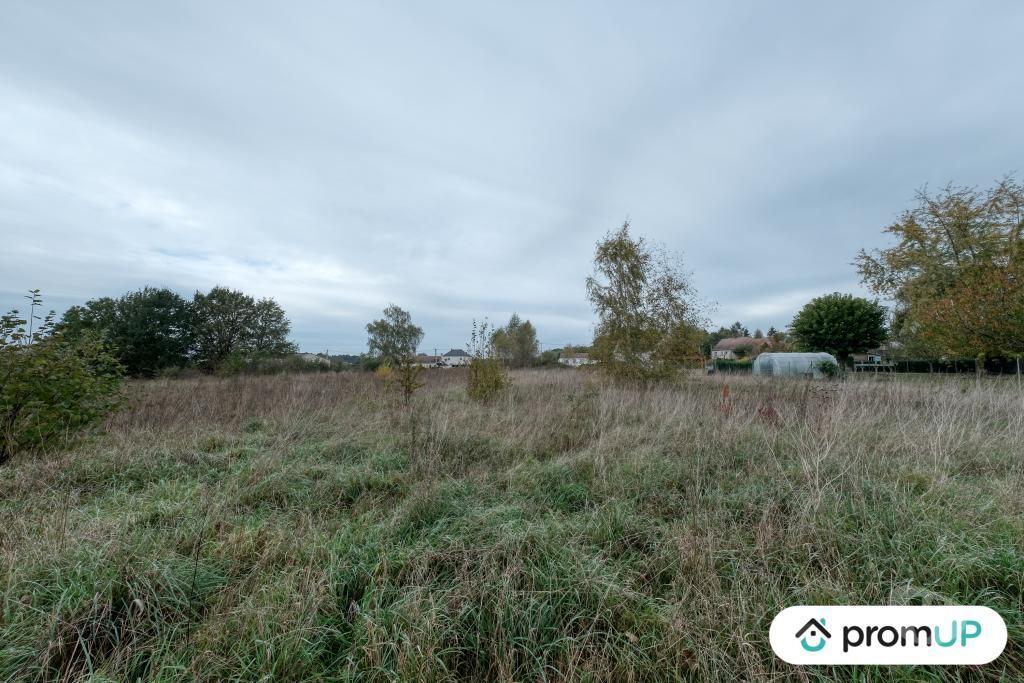 Terrain à vendre Loiret Les Bordes - 45460 - Photos Vivastreet (V4871) Terrain constructible piscinable entre Montargis et...