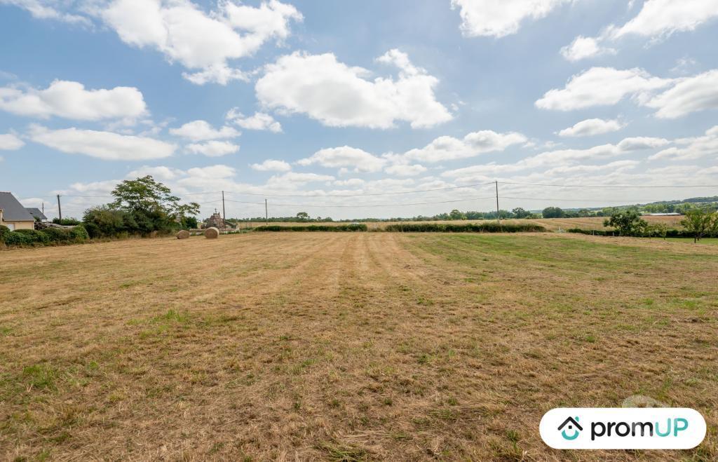 Terrain à vendre Loire-Atlantique Sion les Mines - 44590 - Photos Vivastreet (VT512) Terrain de 3761m2