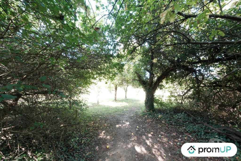 Terrain à vendre Loiret Thimory - 45260 - Photos Vivastreet (V6223) Terrain constructible de 1379 m2 à THIMORY