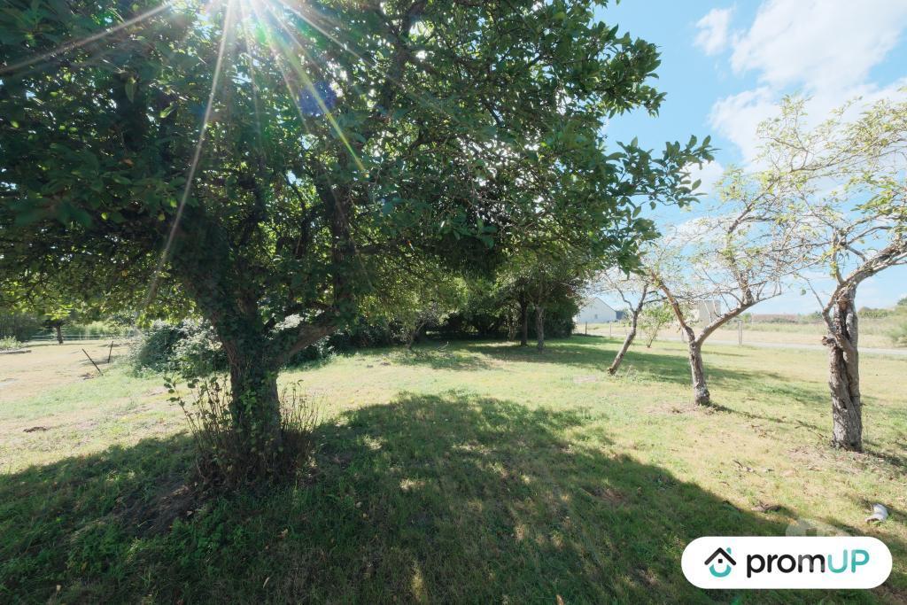 Terrain à vendre Loiret Thimory - 45260 - Photos Vivastreet (V6223) Terrain constructible de 1379 m2 à THIMORY