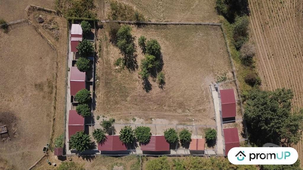 Vente Maison Tarn-et-Garonne St Cirq - 82300 - Photos Vivastreet (V5059) Domaine pension canine et féline avec maison de 80 m2 à