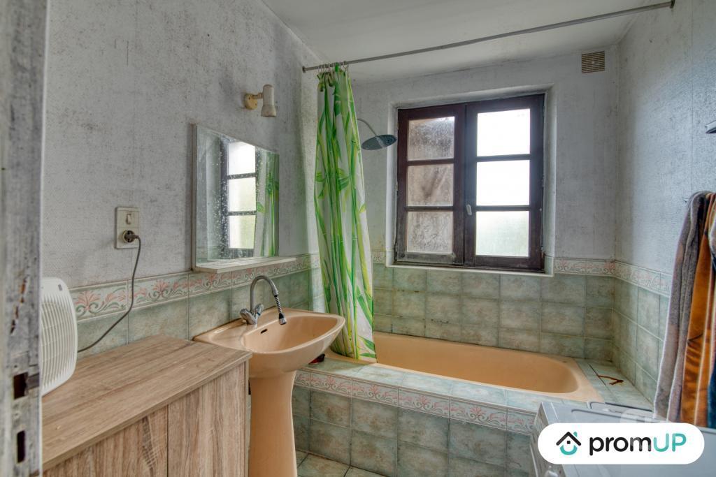 Vente Maison Tarn-et-Garonne St Cirq - 82300 - Photos Vivastreet (V5059) Domaine pension canine et féline avec maison de 80 m2 à