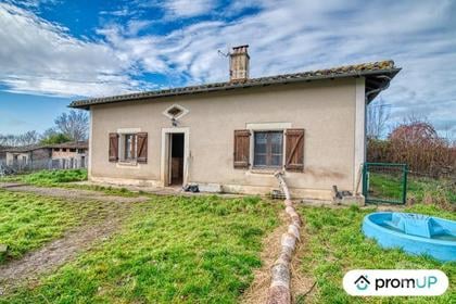 Maison à vendre St Cirq Tarn-et-Garonne - Photos Vivastreet (V5059) Domaine pension canine et féline avec maison de 80 m2 à