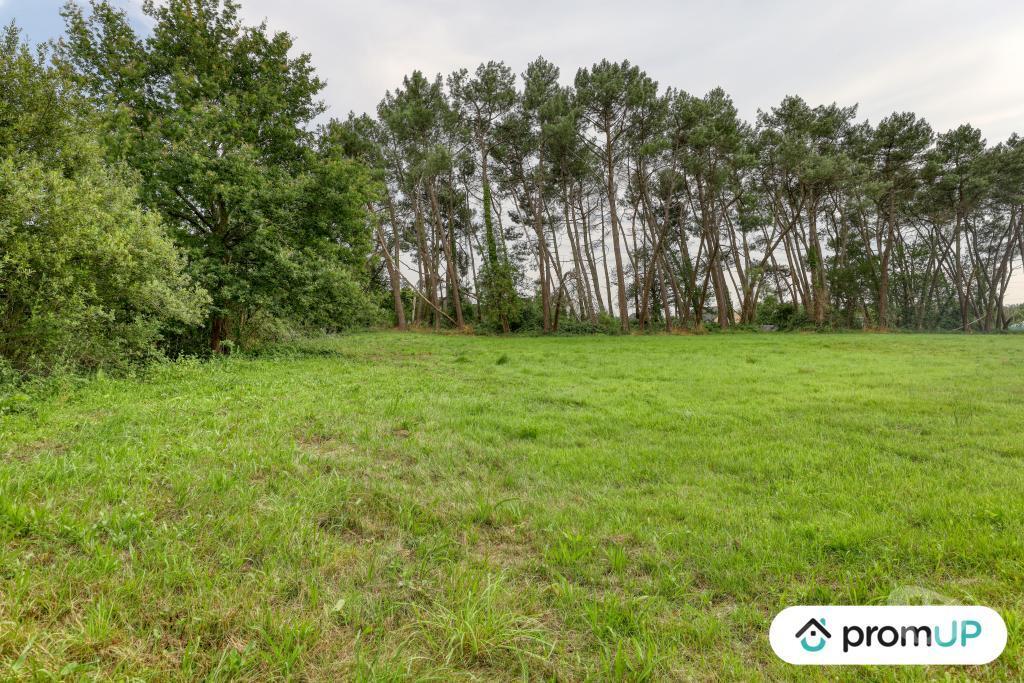 Terrain à vendre Sarthe St Mars la Briere - 72470 - Photos Vivastreet (VT950) Terrain de loisir de 982m² situé à Saint-Mars-la-Brière