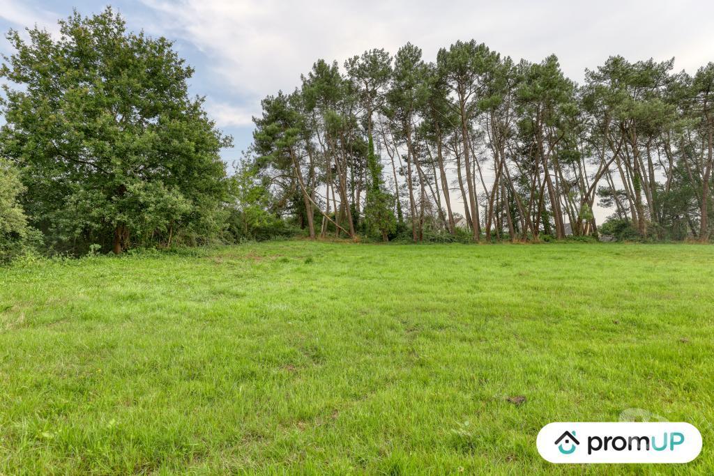 Terrain à vendre Sarthe St Mars la Briere - 72470 - Photos Vivastreet (VT950) Terrain de loisir de 982m² situé à Saint-Mars-la-Brière