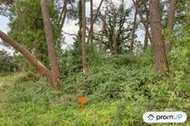 (VT950) Terrain de loisir de 982m² situé à Saint-Mars-la-Brière