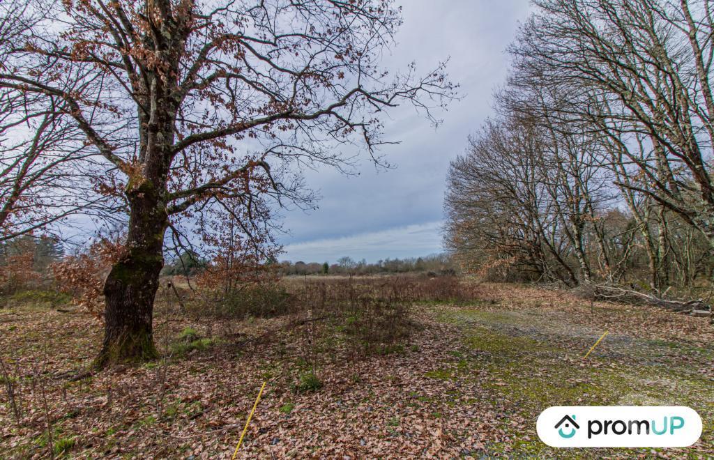 Terrain à vendre Dordogne Montcaret - 24230 - Photos Vivastreet (VT762) Terrain constructible 8 654 m²