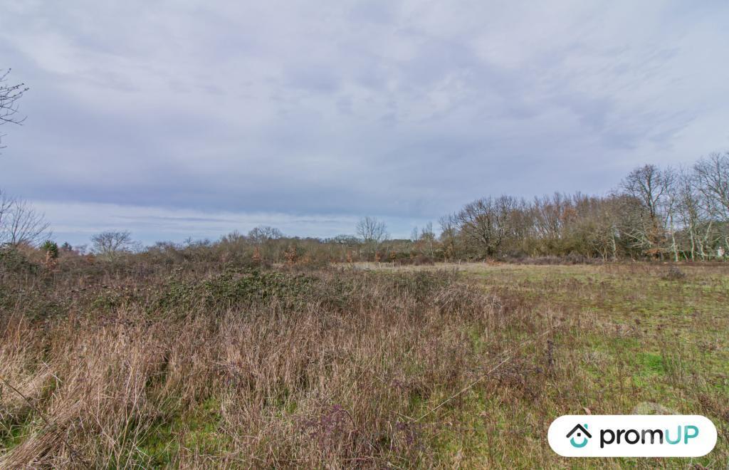 Terrain à vendre Dordogne Montcaret - 24230 - Photos Vivastreet (VT762) Terrain constructible 8 654 m²