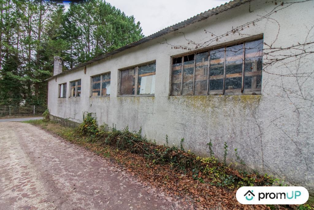 Vente Maison Dordogne St Paul Lizonne - 24320 - Photos Vivastreet (VM1136) Maison de 155 m2
