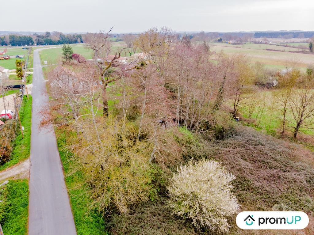 Terrain à vendre Dordogne Beaupouyet - 24400 - Photos Vivastreet (VT1204) Grand Terrain 3600 m² en Périgord