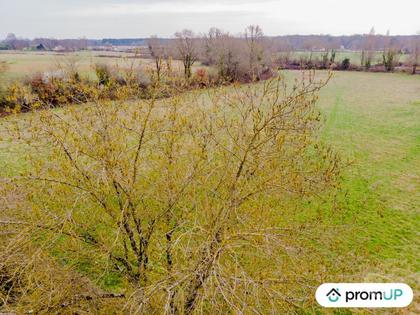 Vente Terrain Beaupouyet Dordogne - Photos Vivastreet (VT1204) Grand Terrain 3600 m² en Périgord