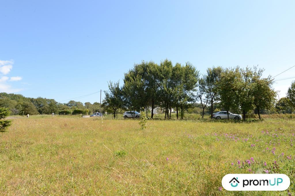 Terrain à vendre Dordogne Nontron - 24300 - Photos Vivastreet (VT995) Terrain constructible de 9582m² situé à Nontron